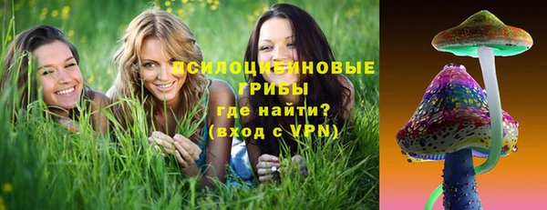 стаф Нефтекумск