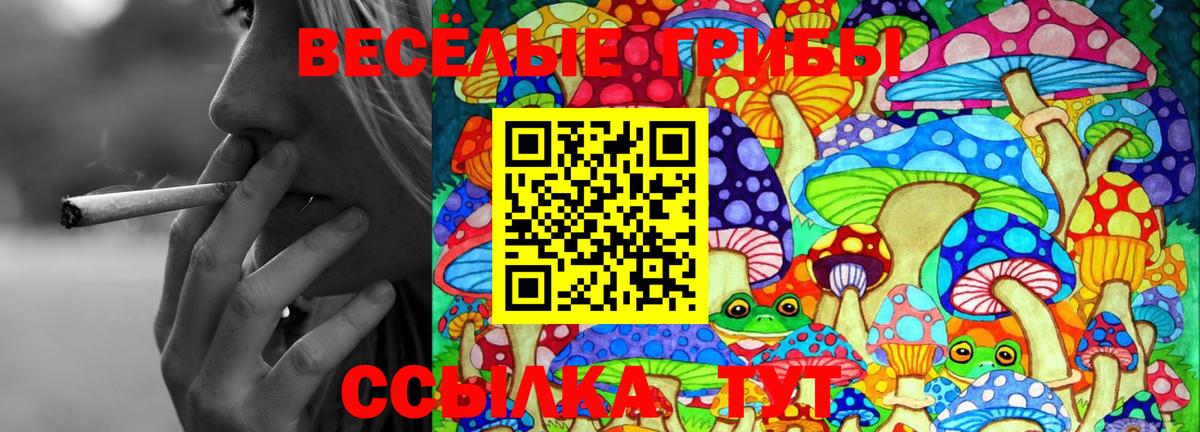 Галлюциногенные грибы GOLDEN TEACHER  цены наркотик  Моздок 