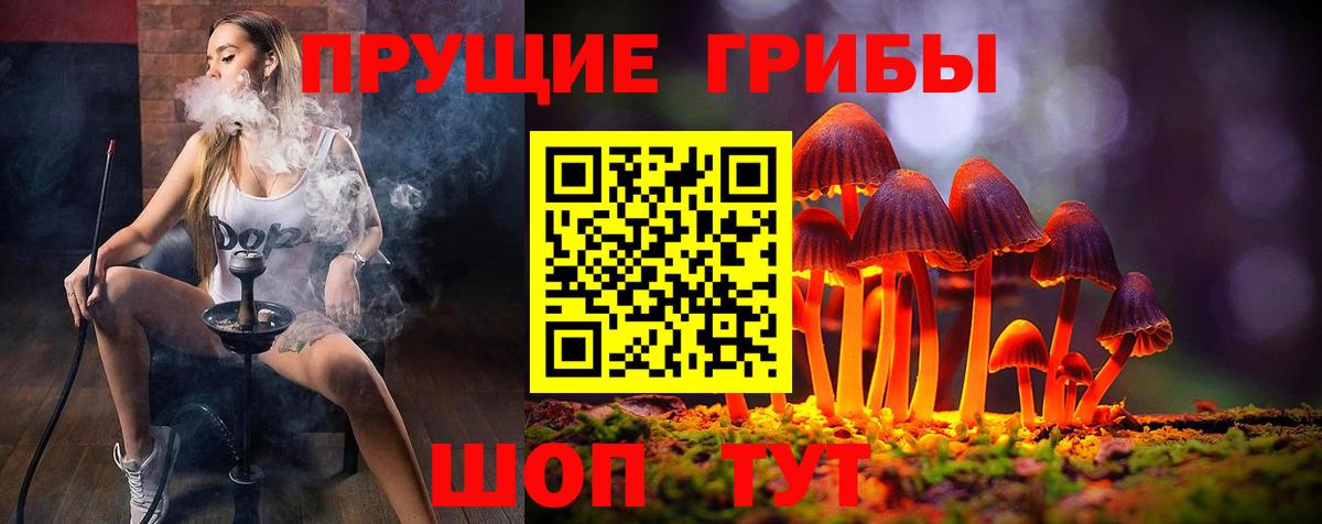 Псилоцибиновые грибы прущие грибы Моздок