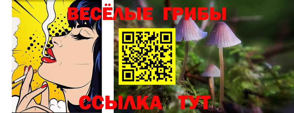 Псилоцибиновые грибы Cubensis  Вход с VPN  Моздок 